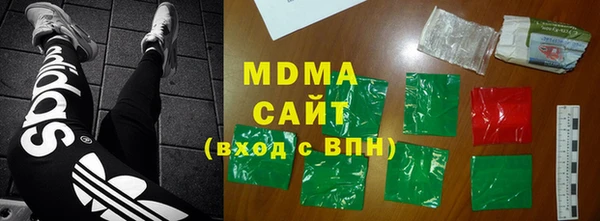хмурый Аркадак