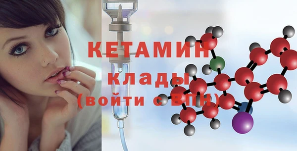шишки Арсеньев