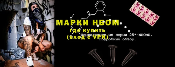 хмурый Аркадак