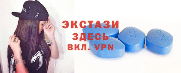 хмурый Аркадак