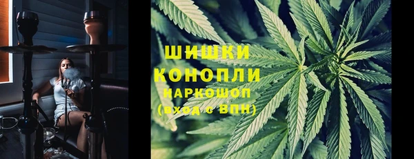 шишки Арсеньев