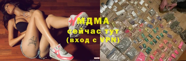 хмурый Аркадак