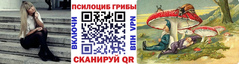 гидра вход  Зверево  Псилоцибиновые грибы мицелий 
